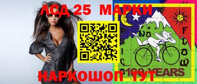 шишки Боровичи