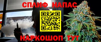 шишки Боровичи