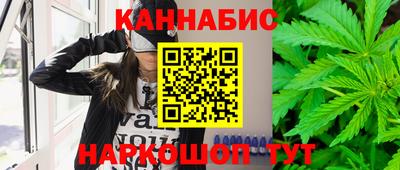 шишки Боровичи