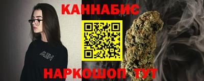 шишки Боровичи